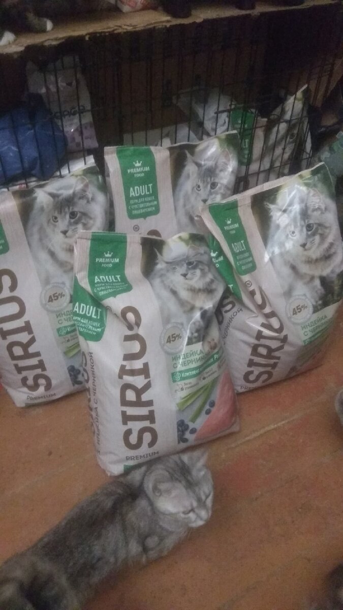 Яндекс.Картинки.