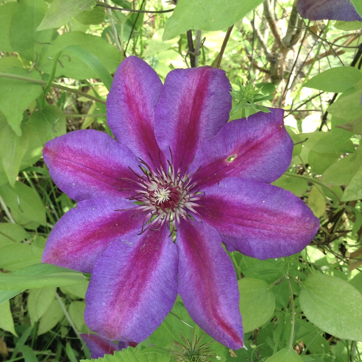 Фото автора.