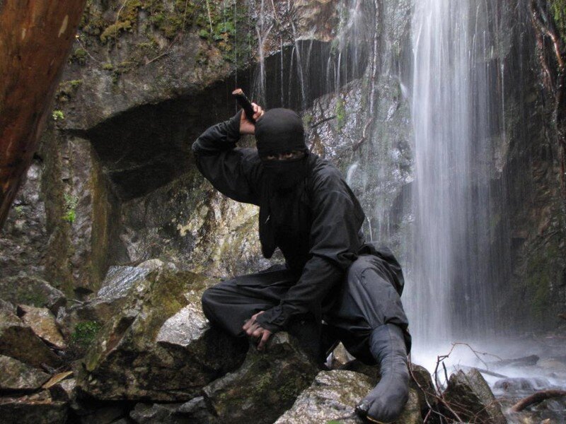 Изображение заимствовано с сайта m.fishki.net