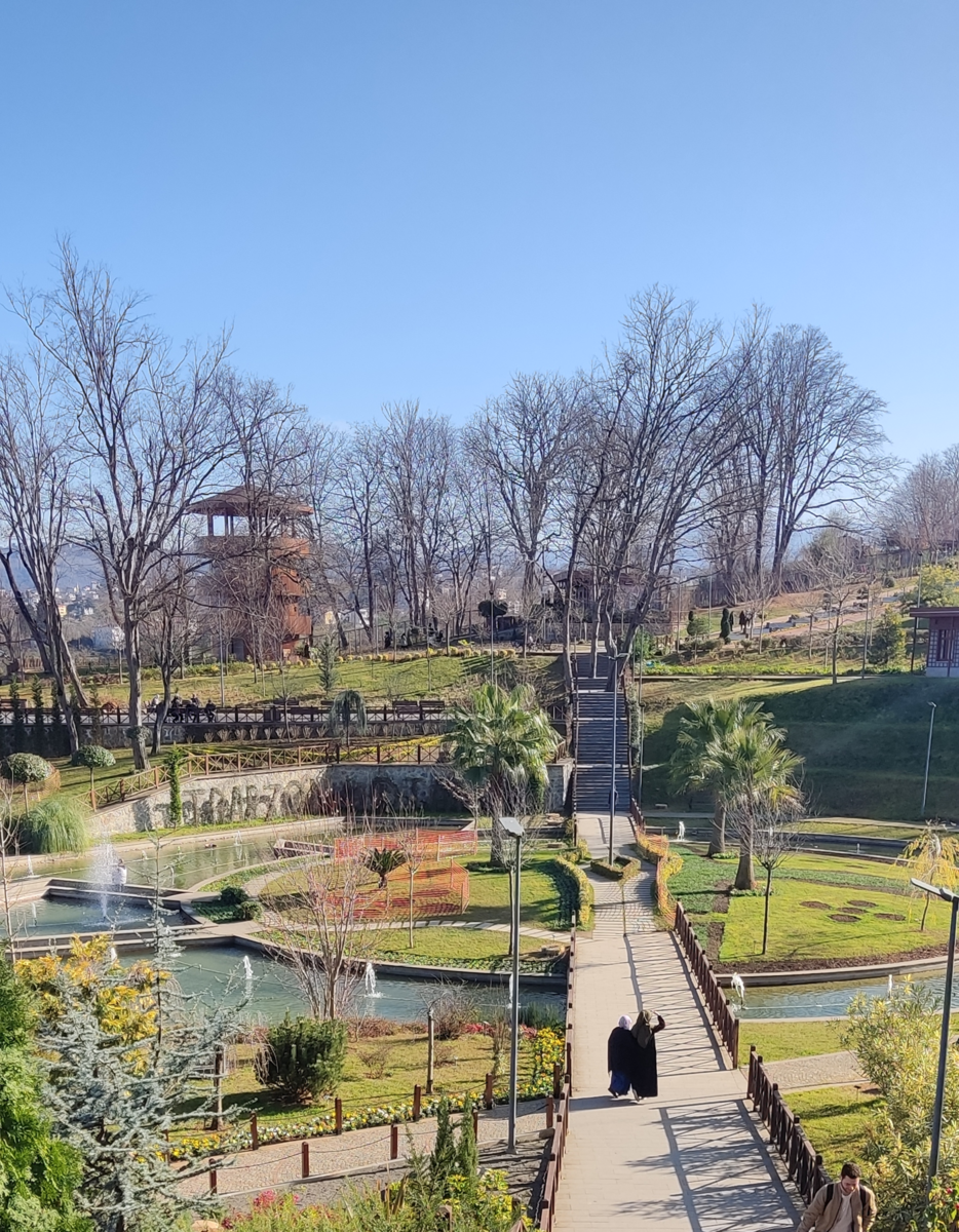 Первый приезд, конец января 