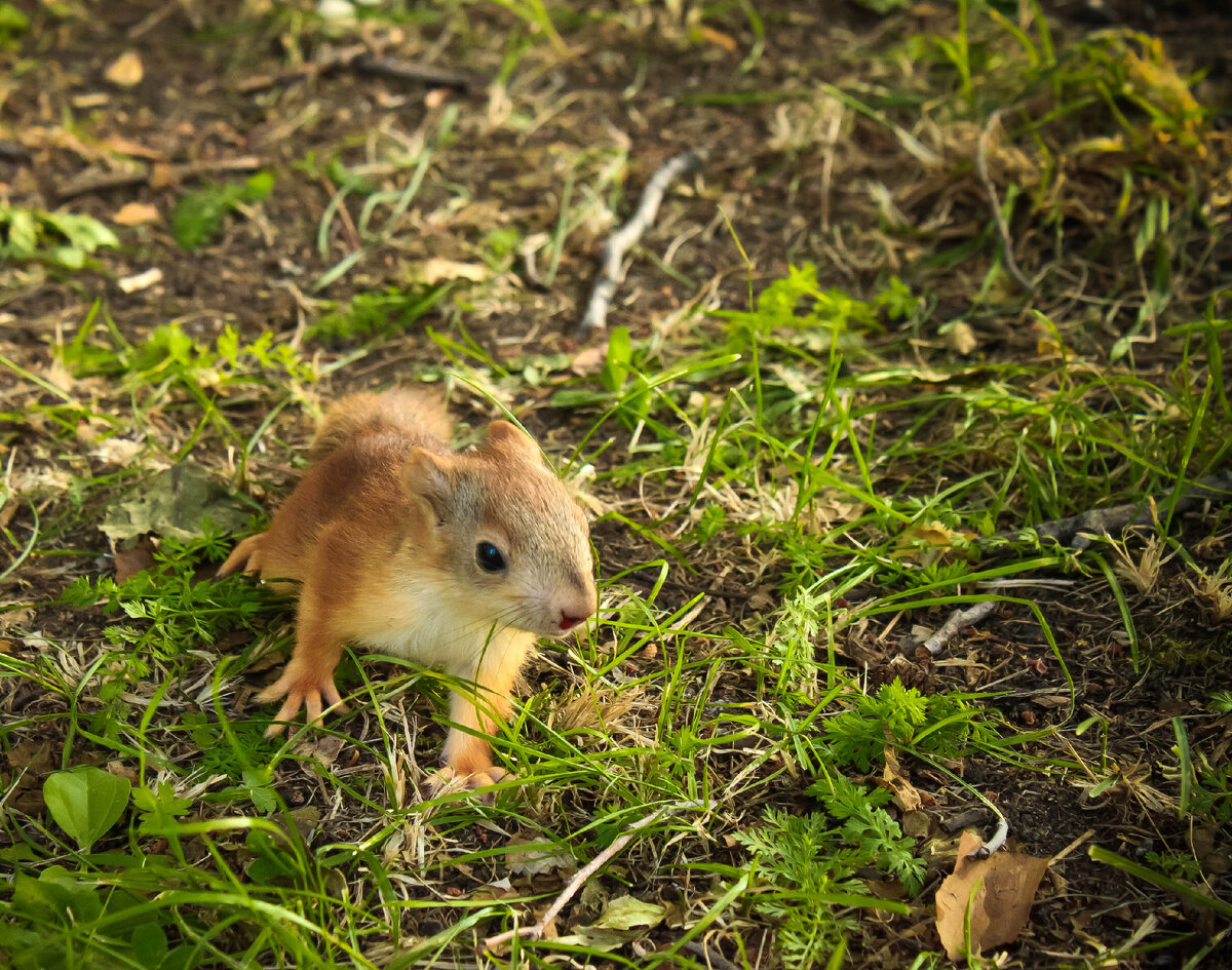 Ничего не понятно, но очень интересно :)