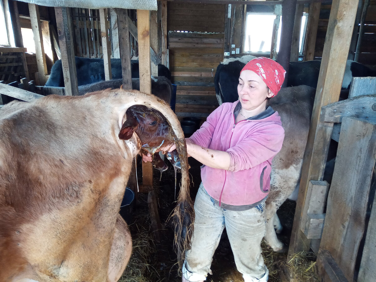 Принимаю роды, родится Глаша