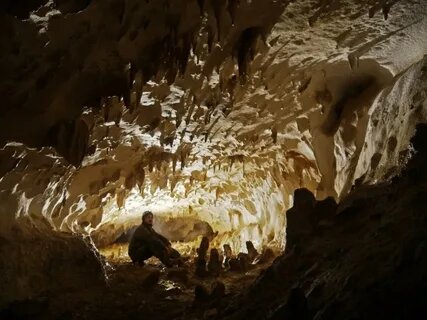 Картинка из интернета