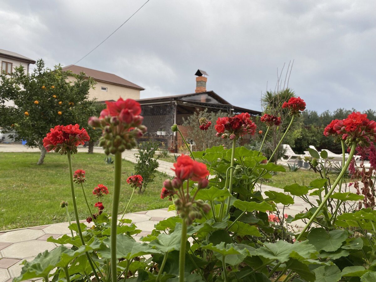 Территория центра