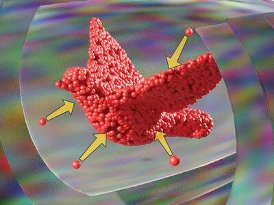    Ультразвук и голограммы оказались эффективнее обычной 3D-печати