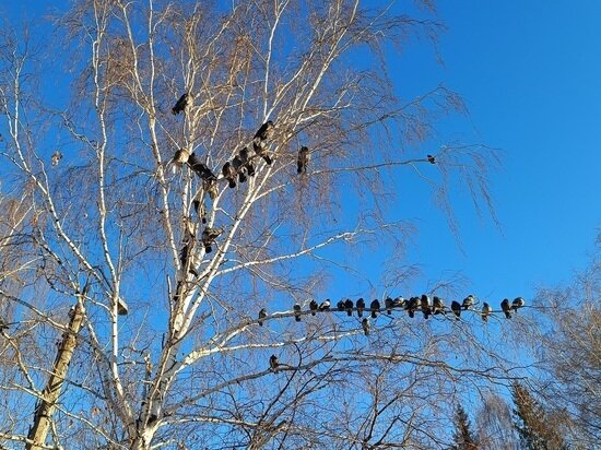    Фото: "МК-Урал".