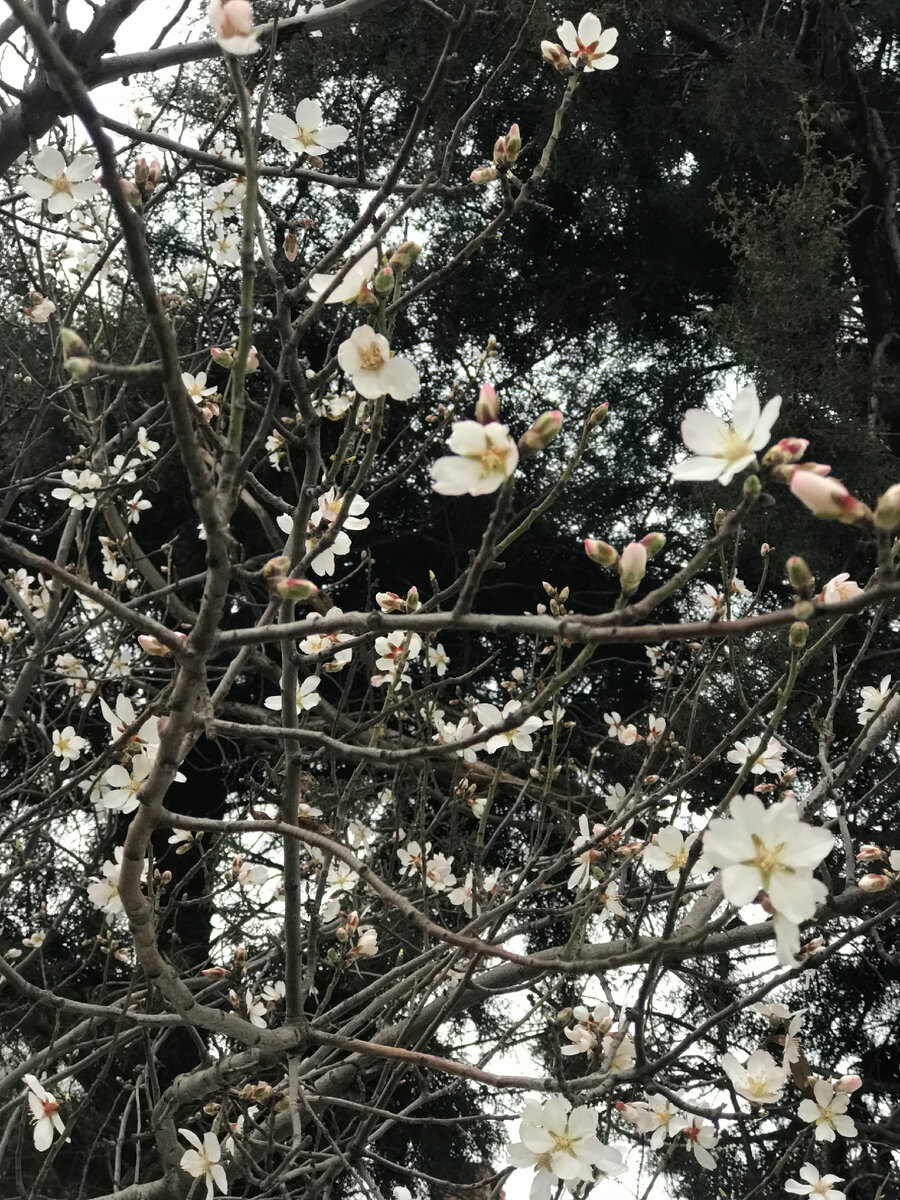 Фото с прогулки 