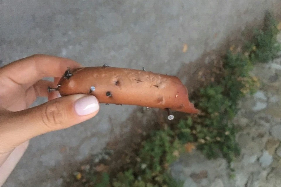 Будьте внимательны! На улице встречаются и такие "лакомства" для собак