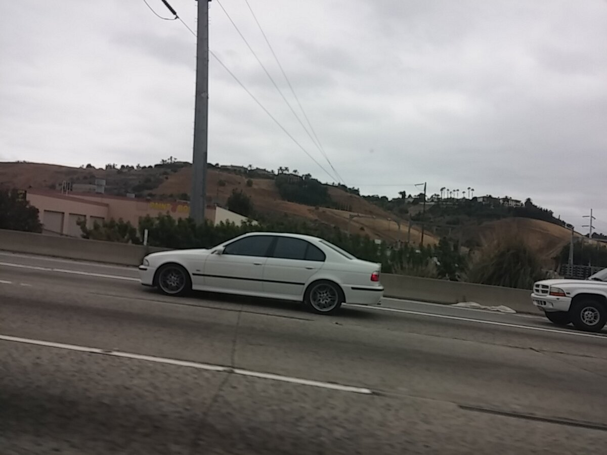 (фото автора)