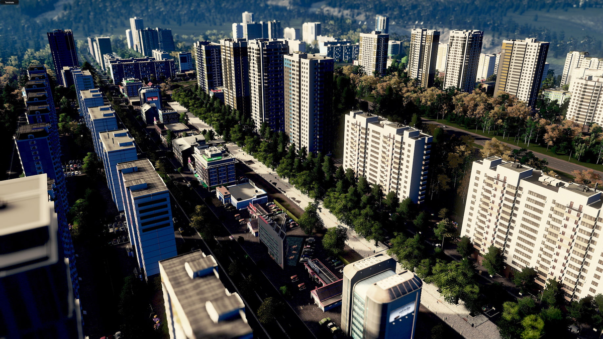 Skylines ii. Сити Скайлайн большой город. Сити Скайлайн центр города. Cities Skylines большой город. Cities Skylines города России.