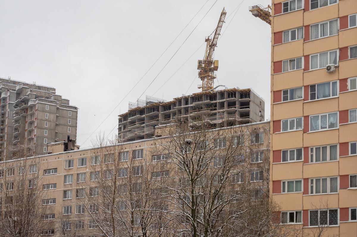 Фото: Олег Золото / MR7