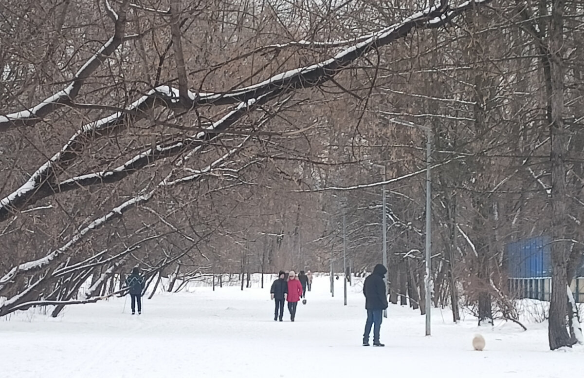 Восемь блин утра, будни.