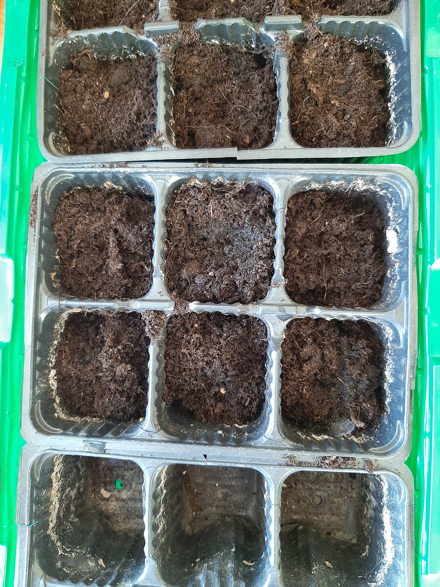 Такой минипарник наиболее удобный для выращивания рассады томатов 