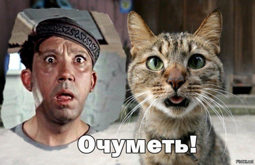 Иллюстрация взята из открытых источников