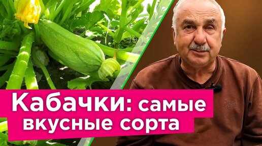 Компактные, очень урожайные и вкусные сорта кабачков! Собирайте урожай кабачков уже в июне