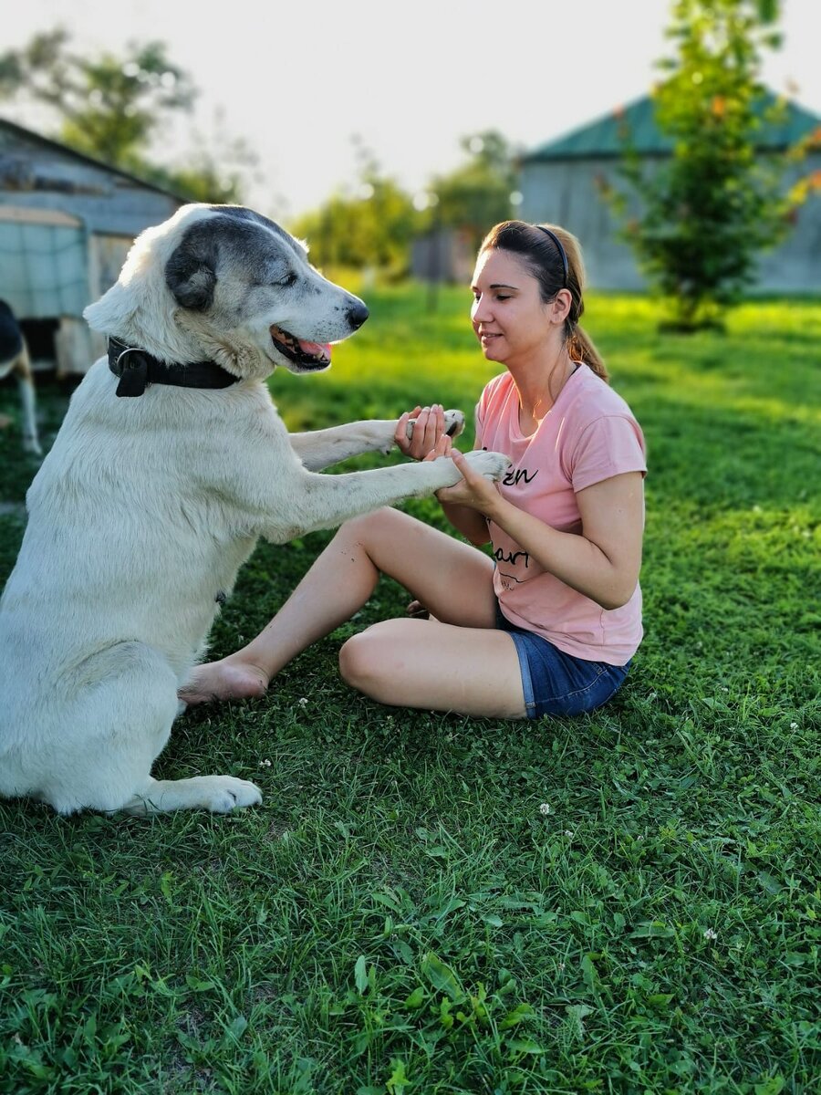 Наша красавица Альфа