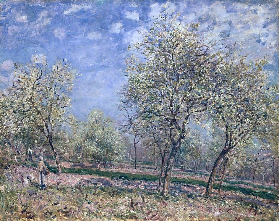 ���������� ����� � 35 �������� ������ ���������� ������ � ����