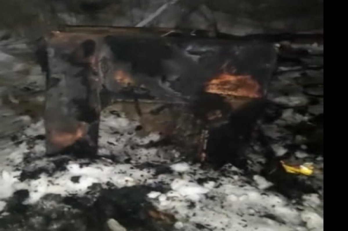    На хабаровчанина, который поджог в будке собаку, возбудили уголовное дело