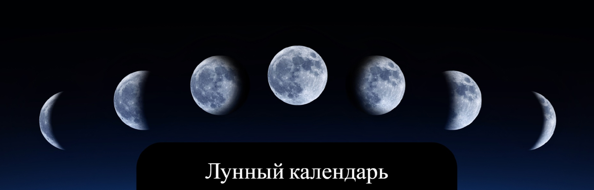 стрижка и лунный календарь - стоит ли придерживаться? - 72 ответа на форуме zamkitu.ru ()