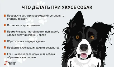 взято из общего доступа