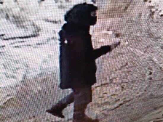 ФОТО: УМВД РФ ПО ТАМБОВСКОЙ ОБЛАСТИ 