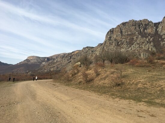     фото: crimea.mk.ru