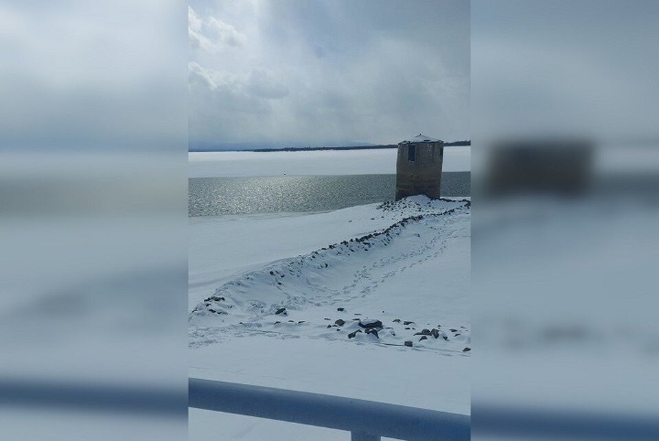     Пес провел на льду почти два дня Фото: группа по спасению в мессенджере