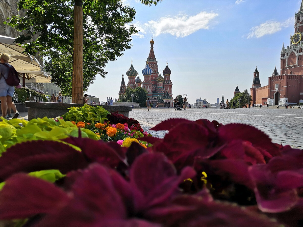 Достопримечательности Москвы: что посмотреть и где гулять | Яндекс  Путешествия | Дзен