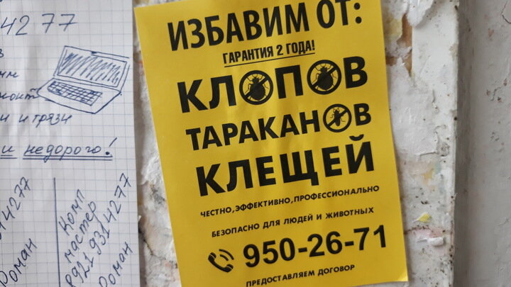 © ZAMIR USMANOV/GLOBALLOOKPRESS