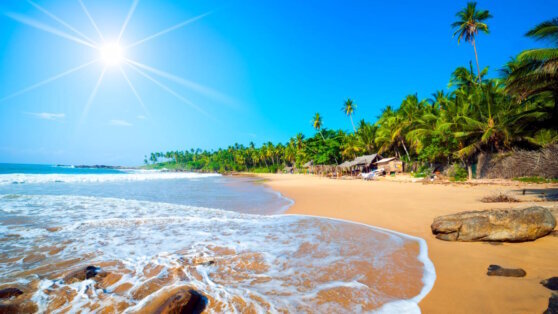    Отпуск-2023: туроператоры назвали стоимость путевок на Шри-Ланку весной и летом Ксения Пудовкина