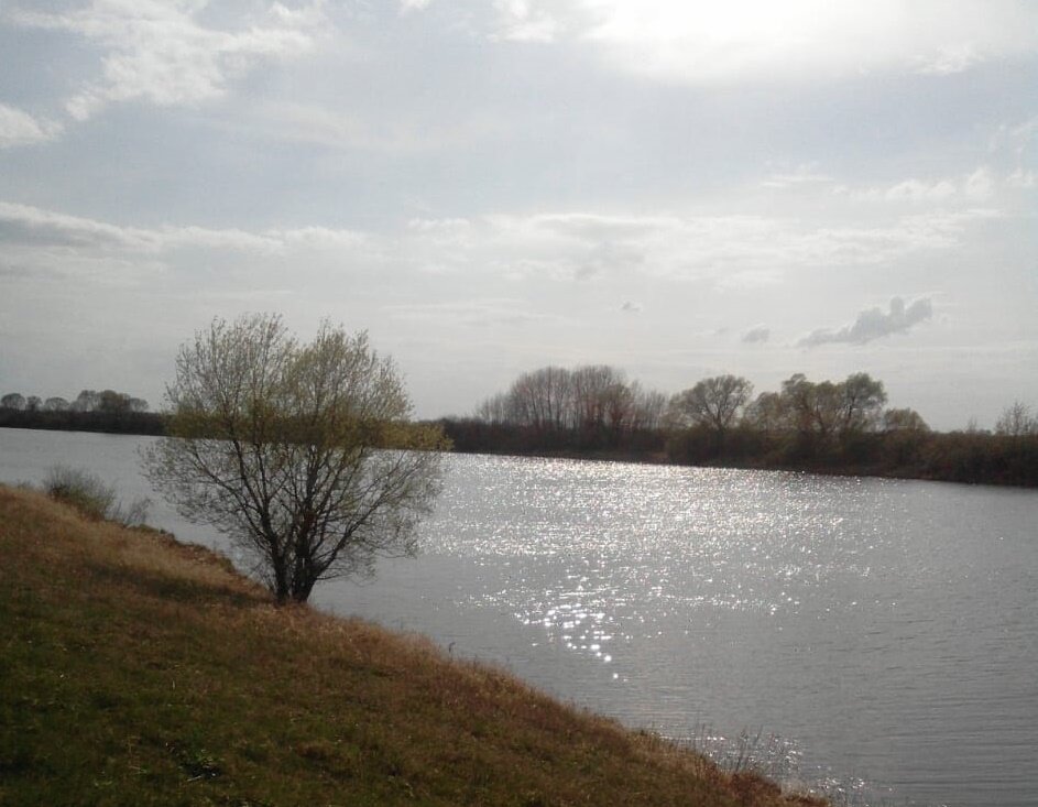 фото Ирины Никитиной.