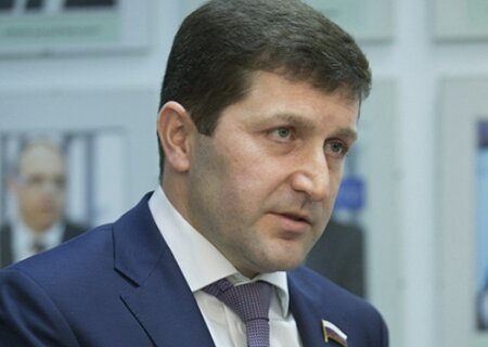    Депутат Гладких: на Западе есть люди, которые пытаются остановить горячие головы