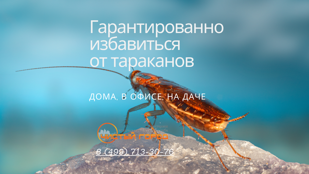 Какие средства работают лучше?