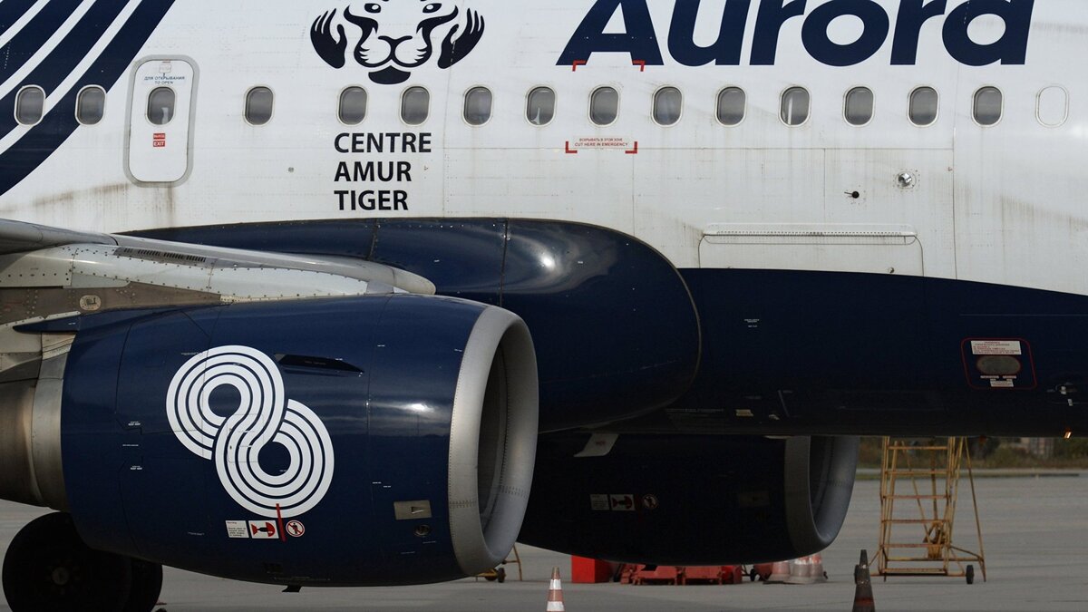    Самолет Airbus А319 дальневосточной авиакомпании "Аврора" в аэропорту Владивостока© РИА Новости . Виталий Аньков