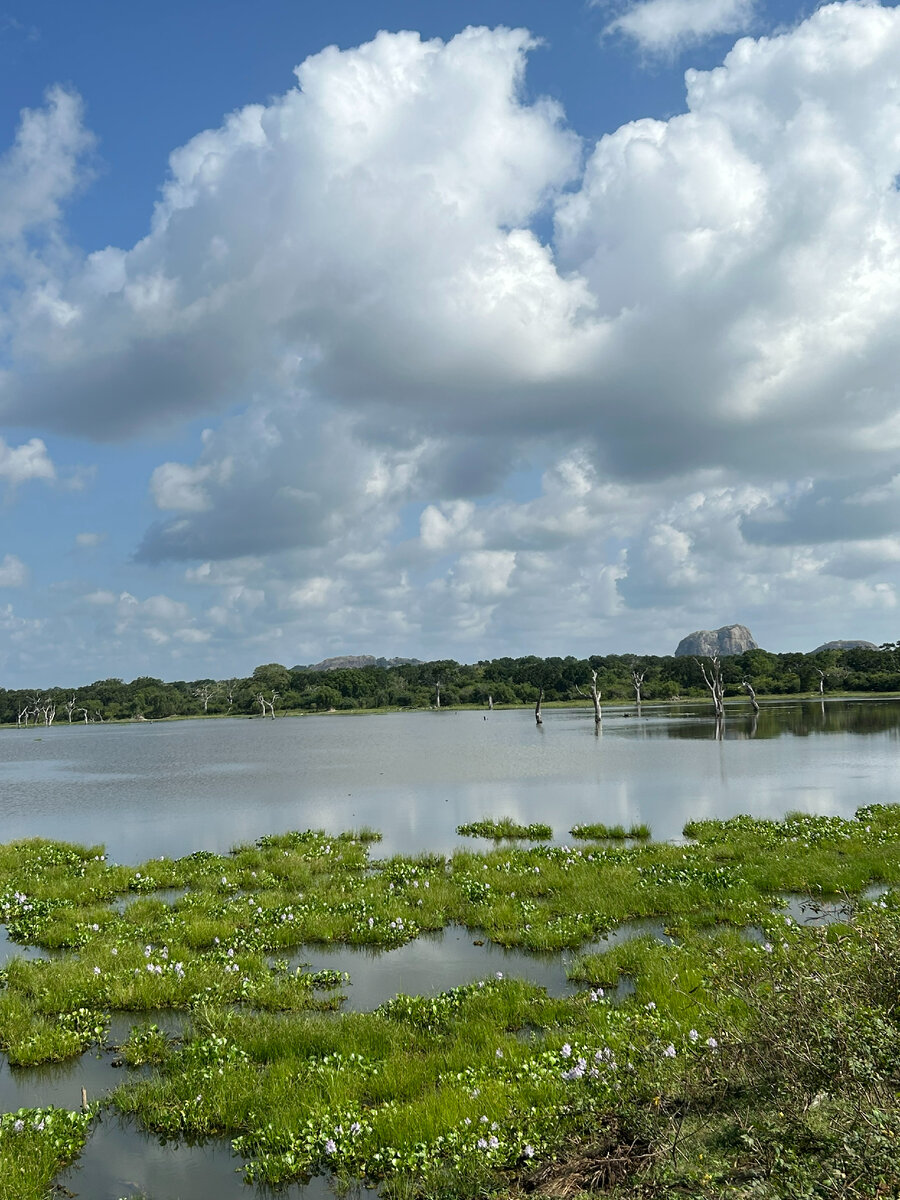 Озера в Яле