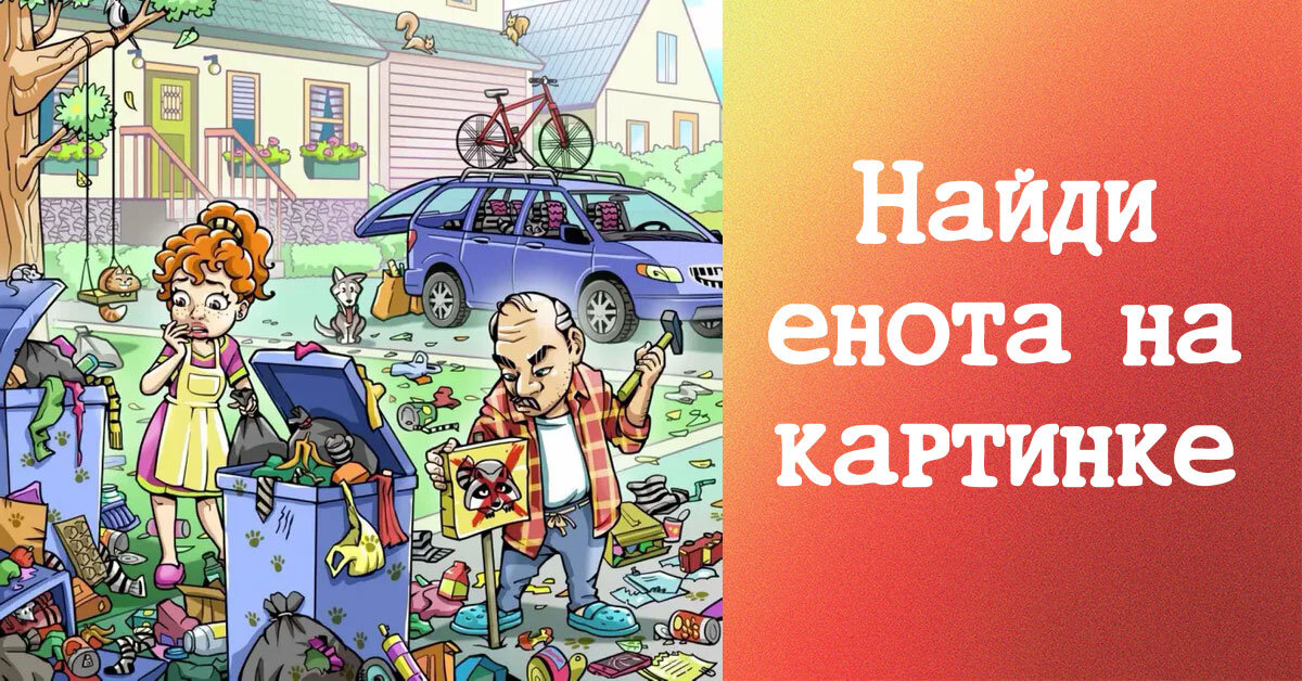 Найди енота на картинке