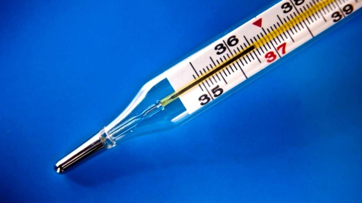      Почему в медицинском градуснике ртуть не опускается при охлаждении?