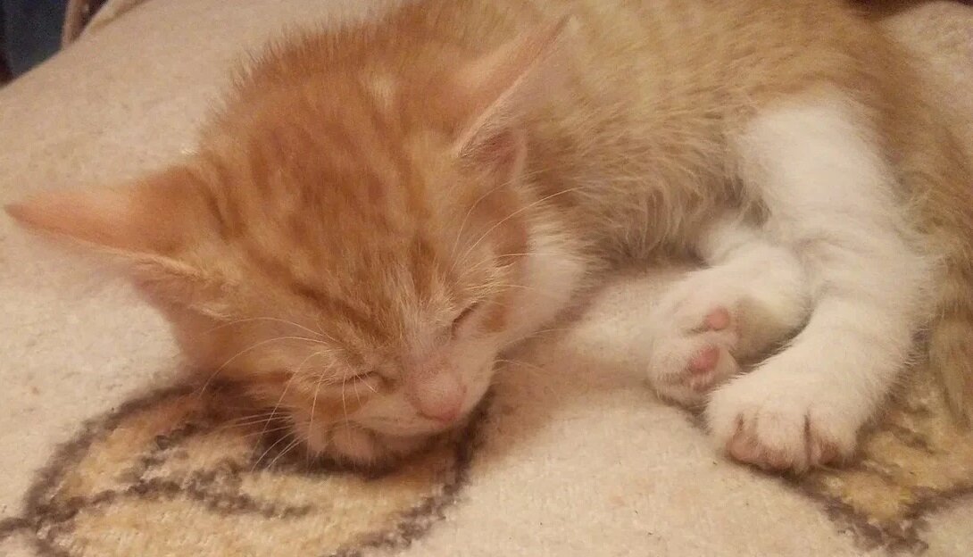 Из семейного архива.