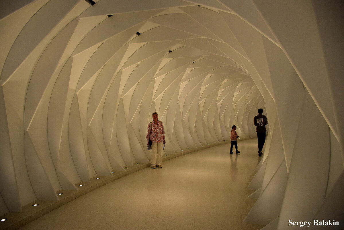 Музей будущего в дубае. Музей будущего в дубае. Музей будущего дубай экспозиция. Музей будущего museum of the future. Музей технологий дубай.