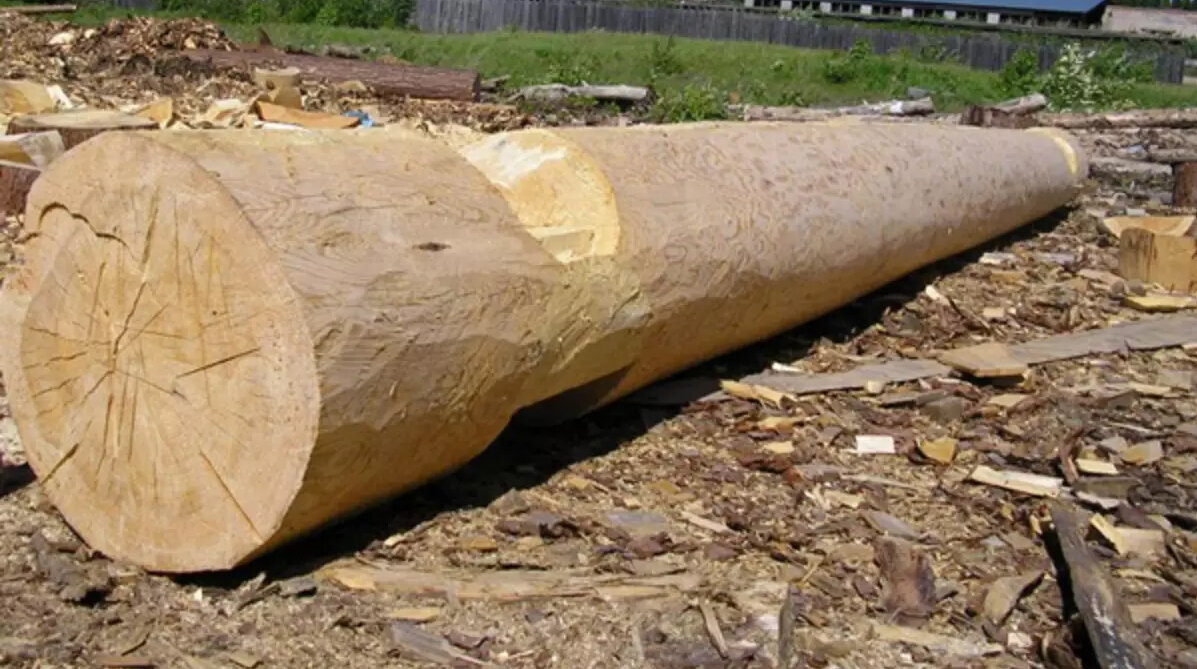 Оцилиндрованное бревно 100 мм. Тес бревна. Оцилиндрованное бревно 260. Калиброванное бревно. Лунный паз оцилиндрованного бревна.