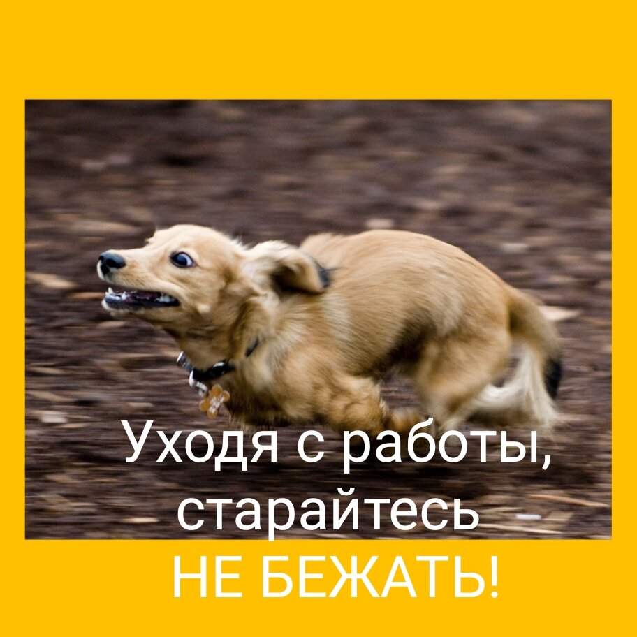 На основе картинки из открытых источников 