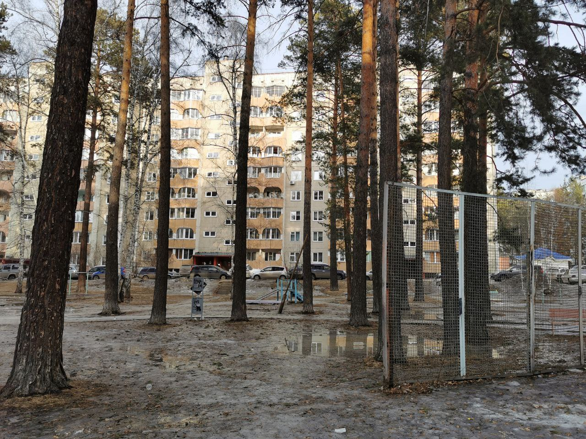 Обычно мы ходим мимо дог-бокса (между сосен виден). Но вчера там было болотце из грязи, воды и льда.