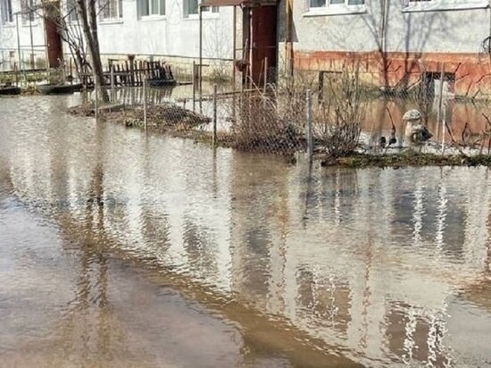     Фото: архив "МК в Калуге"