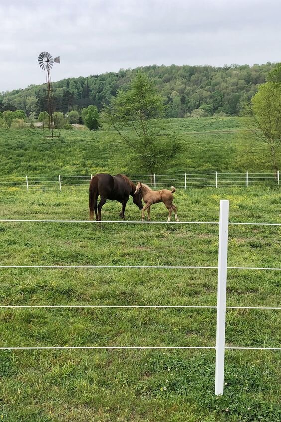 -2-3