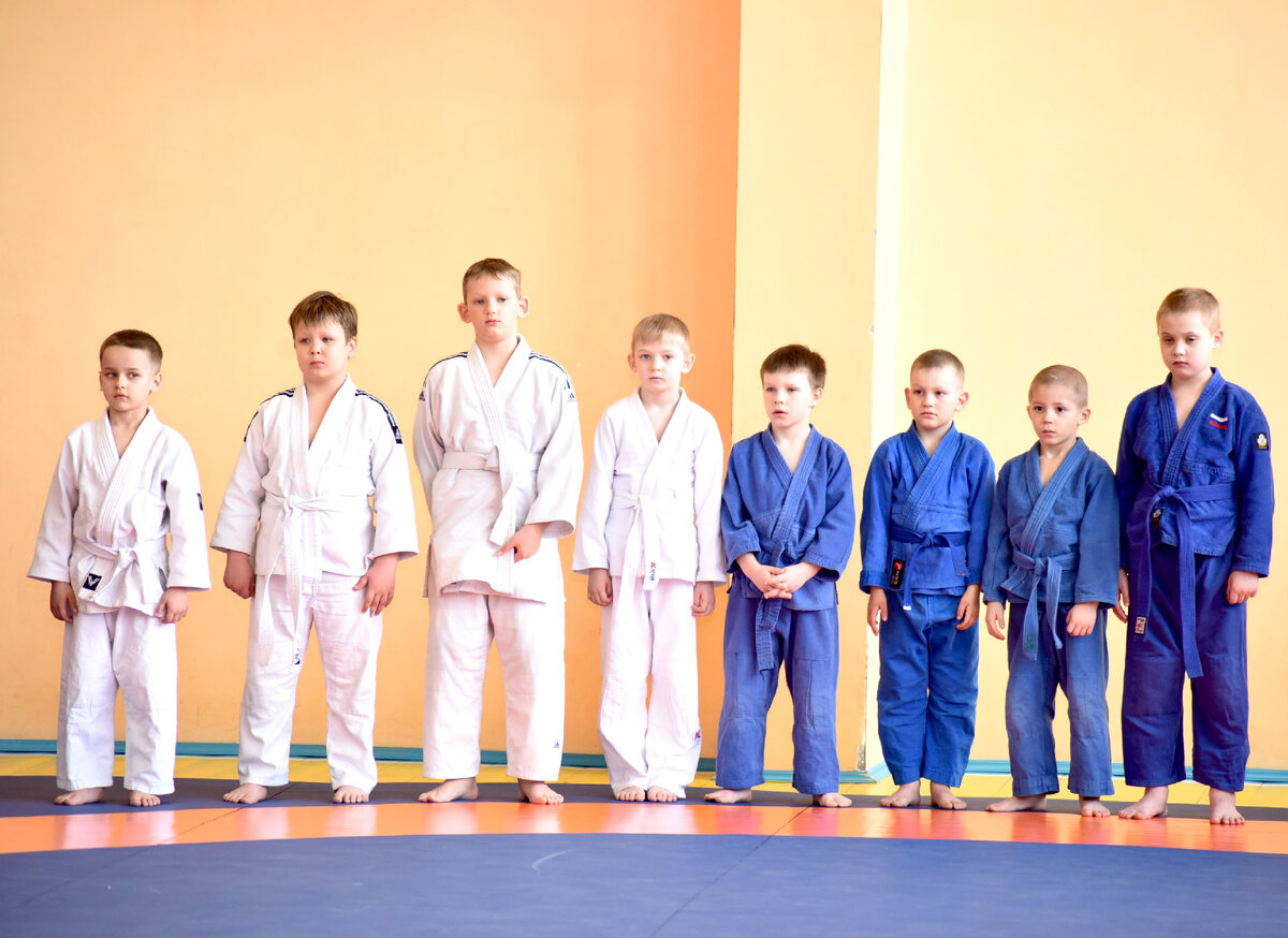 Спортивная школа орлов. Клуб боевых искусств. Школа единоборств. Самбо в школу Всероссийский проект. Открыть детский клуб единоборств.