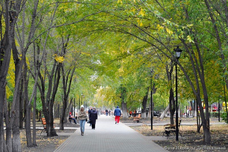 Городской сад курган городской сад фото