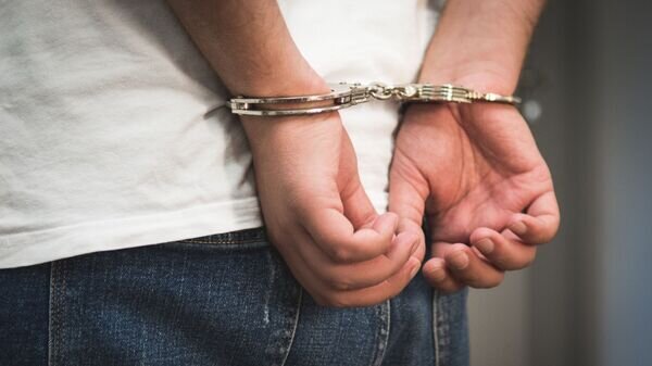    © photo: Sputnik / Stringer