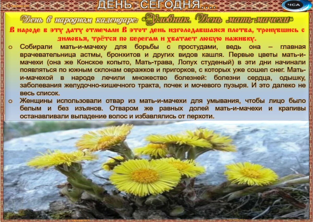 Встречаем новый день