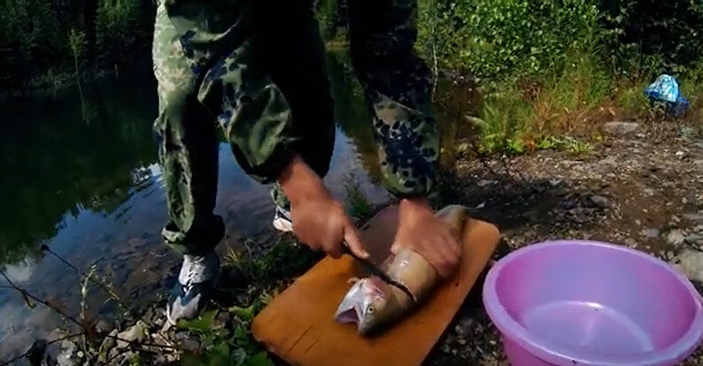 Разделка форели