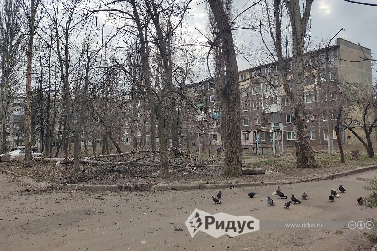Место трагедии. © Наталия Курчатова / Ridus.ru